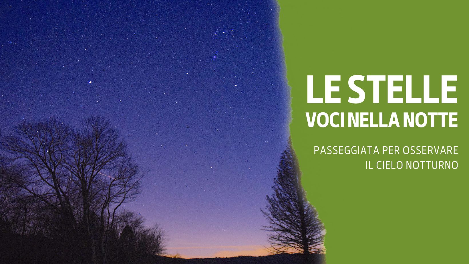 Le Stelle – Voci nella Notte
